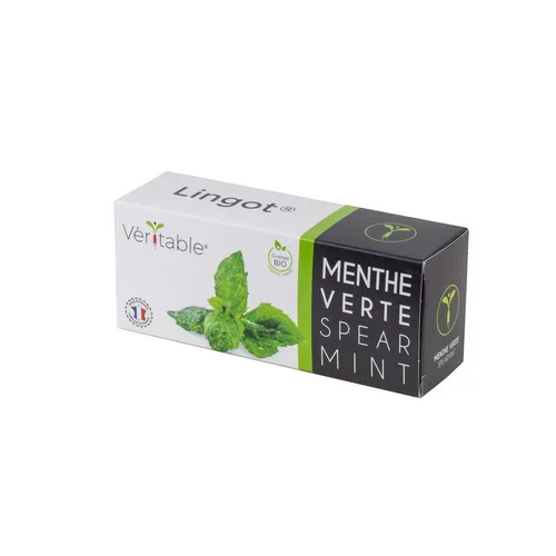 Sélection pour votre jardin：Lingot Menthe Verte Bio