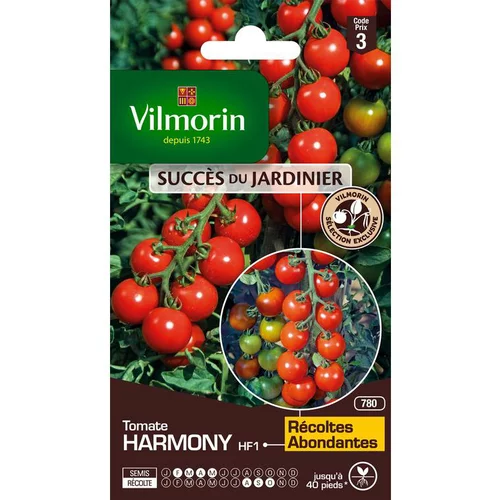 Pensé pour vos extérieurs：Graine de tomate harmony HF1 Vilmorin - graines à semer