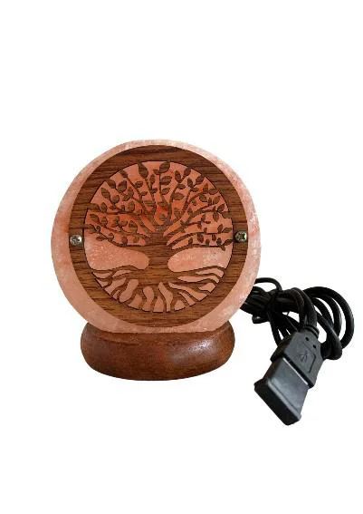 Sélection au jardin:Lampe USB ronde orange au sel de l’Himalaya Idea for Project Arbre de la Vie