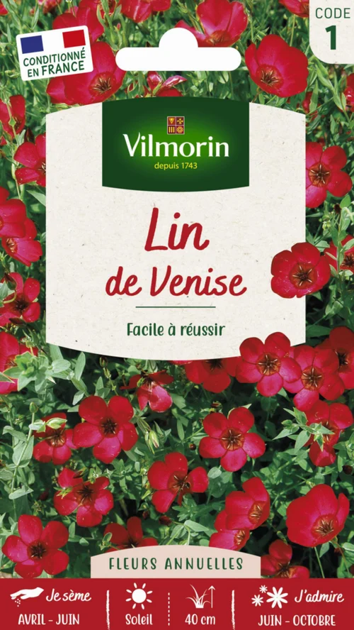 Pour l’univers du jardin:Lin de Venise Vilmorin - graines à semer