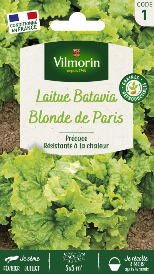 Une solution pour l’extérieur:Laitue Batavia Blonde de Paris Vilmorin - graines à semer