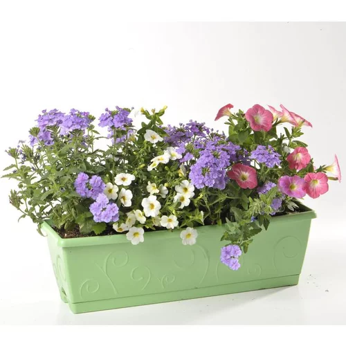 Extérieur fonctionnel：Jardinière coloris variés. La jardinière de 40 cm