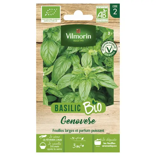Espace vert moderne：Basilic Genovèse Bio Vilmorin - graines à semer