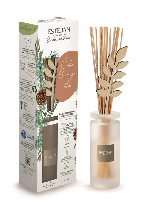 Pour compléter votre jardin:Bouquet parfumé initial avec recharge Cèdre sauvage Esteban - 100 ml