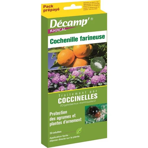 Une solution pratique pour le jardin:Coccinelles contre la cochenille farineuse Décamp - La boite de 20