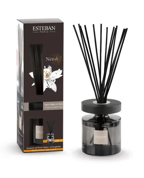 Solution extérieur:Bouquet parfumé et recharge Esteban Ellipse marron parfum Néroli - 200 ml