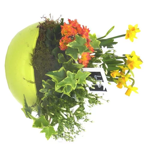 Extérieur essentiel:Coupe de plantes en assortiment pour extérieur