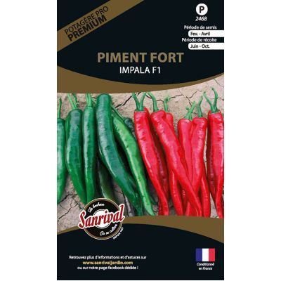Graines potagères premium piment (Fort Impala)