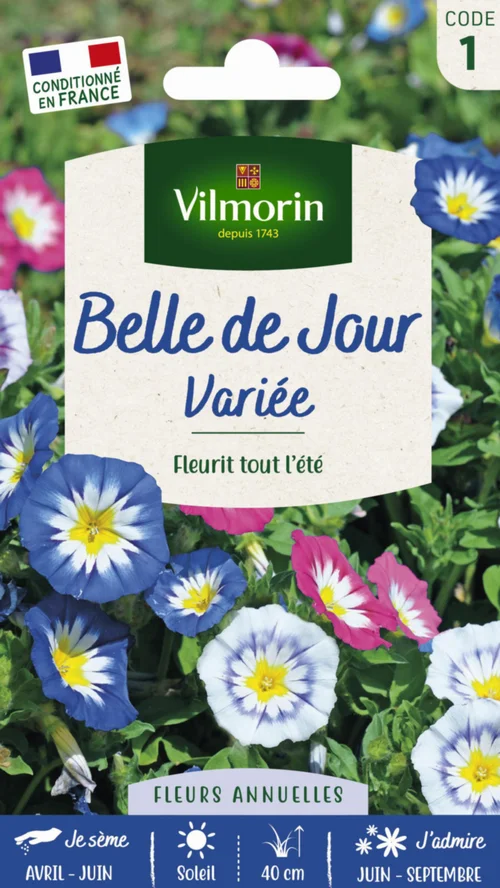Pour profiter dehors：Belle de jour Variée Vilmorin - graines à semer