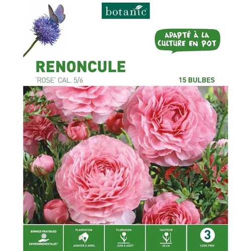Le petit plus pour l’extérieur:Renoncule rose botanic® - 15 bulbes