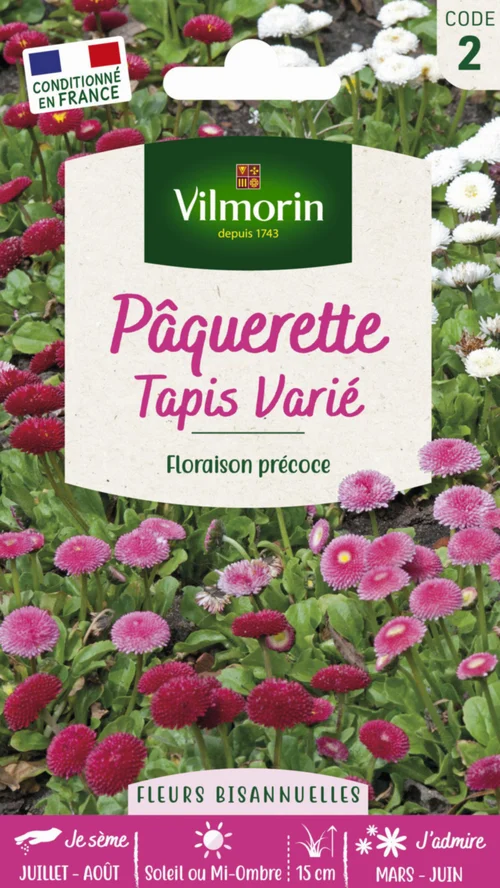 Bien pensé pour le jardin:Pâquerette Tapis varié Vilmorin - graines à semer
