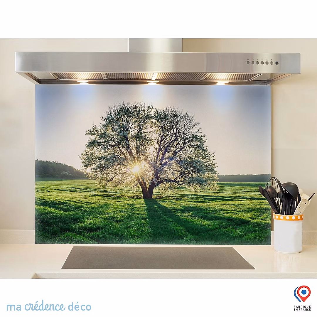Crédence cuisine fond de hotte Arbre et lumière | Verre trempé – L 60 cm x H 45 cm – MaCrédenceDéco