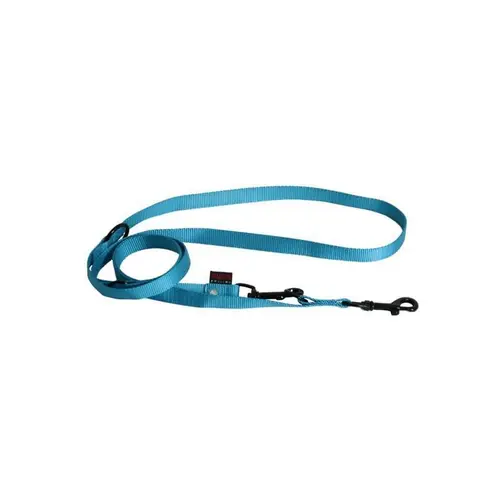 Jardin et solutions:Laisse dressage 3pt Turquoise