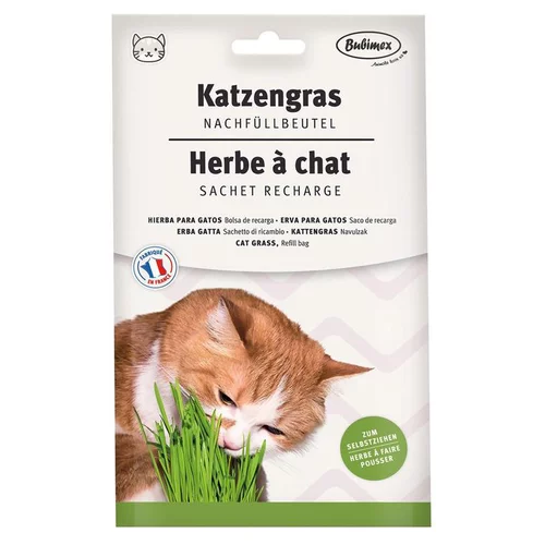 Bien pensé extérieur:Recharge pour herbe à chat Bubimex