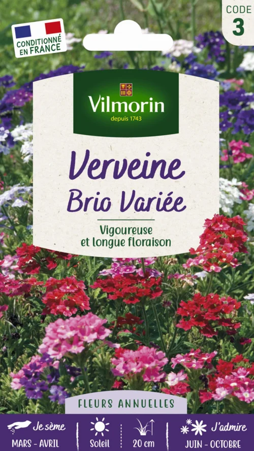 Pour profiter pleinement du jardin:Graines de Verveine Brio variée Vilmorin - graines à semer