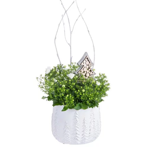 Essentiel pour le jardin:Composition de Noël campanule multicolore céramique sapins