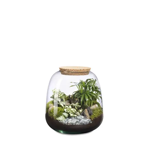 Maison et extérieur:Terrarium autonome Moly M Landscape botanic®