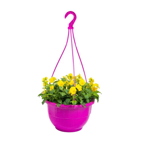 Confort jardin：Viola Cornuta. La suspension de 28 cm