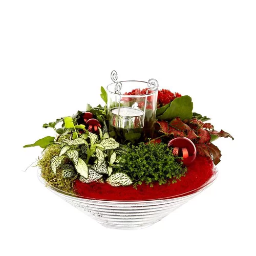 Le compagnon de vos extérieurs：Composition florale de Noël H 25 cm avec verrerie Ø 25 cm