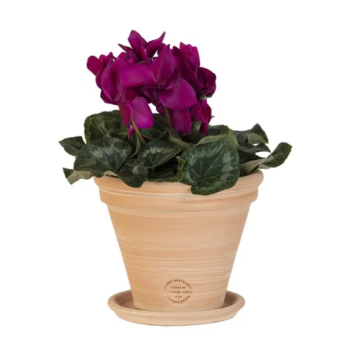 Pour votre confort au jardin:Pot Conica en terre cuite claire D22x H18