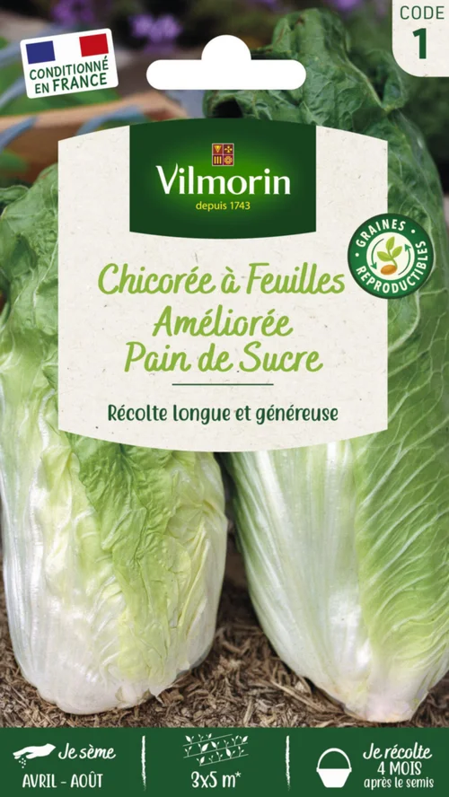 Pour enrichir votre univers jardin：Chicorée Sauvage Pain de Sucre Vilmorin - graines à semer
