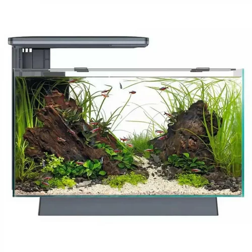 Pensé pour le jardin:Aquarium 100% équipé noir SUPERFISH Quadro 40 Pro - 28L