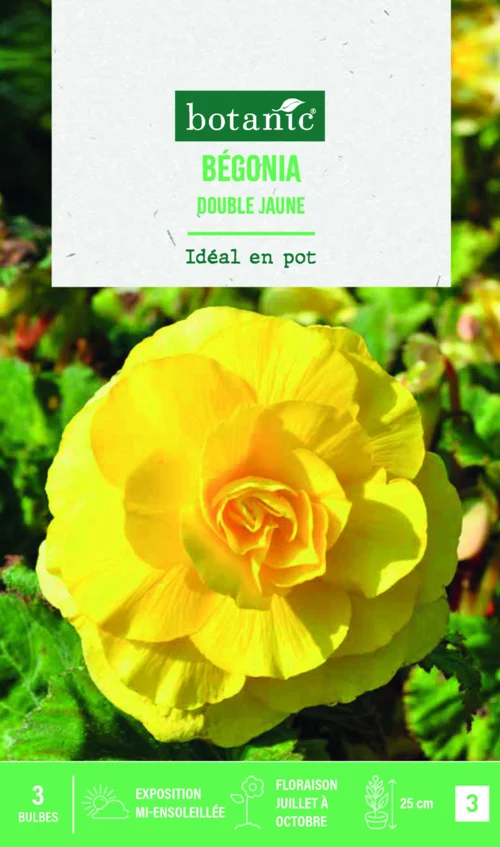 Pour plus de praticité à l’extérieur:Bulbes de fleurs Bégonia double jaune botanic® - 3 bulbes