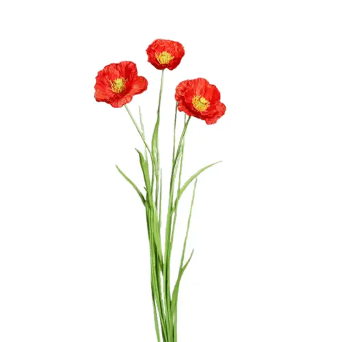 Essentiel nature：Tige de pavot artificiel 3 fleurs rouge et herbe - 68 cm