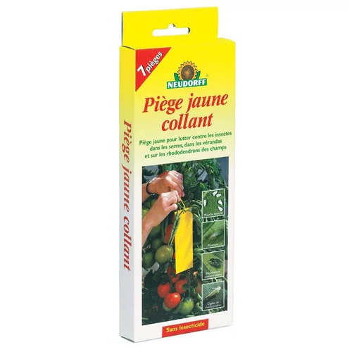 Solution simple:Piège jaune collant