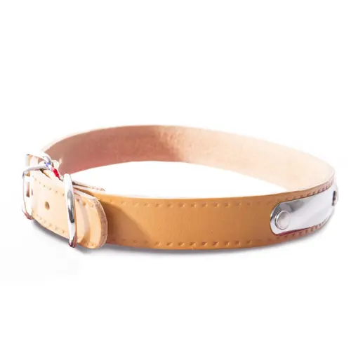 Idée utile:Collier pour chien en cuir coloris marron Martin Sellier Rive - Taille 20/50