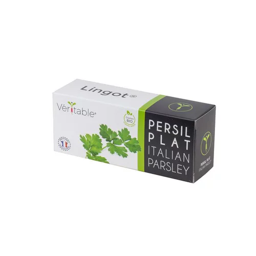 Univers jardin:Lingot Persil plat Bio