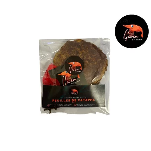 Pour équiper vos extérieurs:Feuilles de catappa pour les crevettes d'aquarium Gioiashrimp – sachet de 10