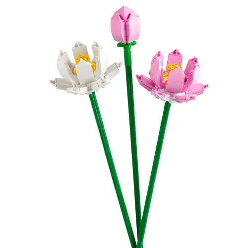 Esprit extérieur:Fleurs de lotus LEGO® Botanical Collection 8 ans et plus - 220 pièces