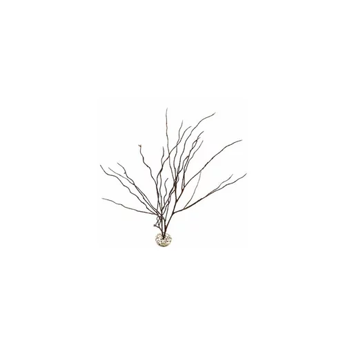 Une sélection pensée pour l’extérieur：Décor imitation bois fin en plastique pour terrarium 45 cm