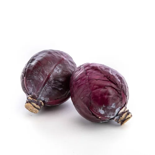 Pour mieux vivre dehors：Chou Rouge bio de France - Prix au kg