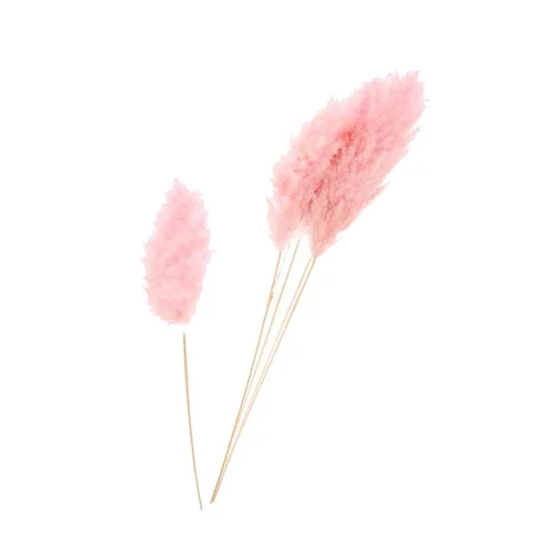 Pour vos projets：Botte de fleurs séchées Herbes de la Pampa (Cortaderia) rose Misty Naturalys