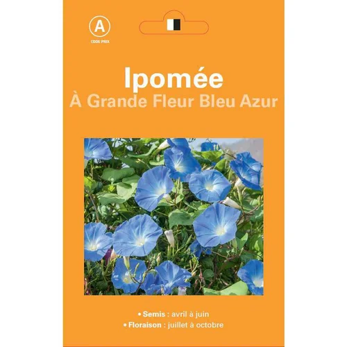 Jardin confort plus：Graines de Ipomée à grande fleur bleu Azur - graines à semer