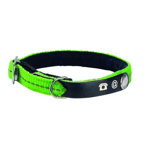 Bien au jardin：Collier chat Lost vert taille XS