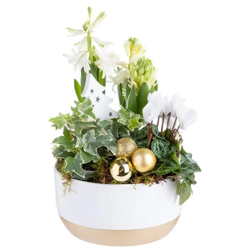 Solution nature:Composition de fleurs multicolore pot en céramique