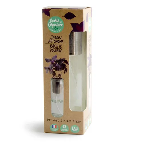 Plaisir dehors:Jardin autonome Basilic pourpre bio Radis et Capucine
