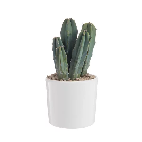 Pour mieux aménager vos extérieurs:Cactus en pot émaillé blanc Ø 10 cm