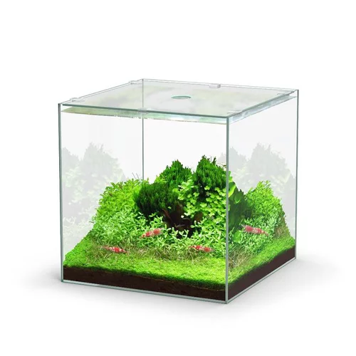 Pour plus de praticité au jardin:Aquarium cuve nue Kubus - 22L