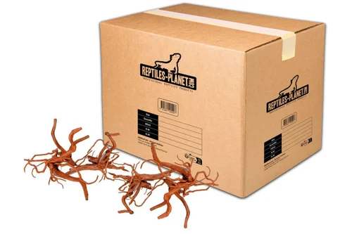 Vie extérieure：Décoration pour aquarium en bois racine araignée Reptiles Planet - Taille S (15 à 25 cm)