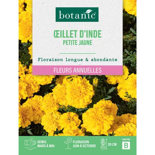 Malin extérieur:Graines de fleurs d'Œillet d'inde petite jaune botanic®