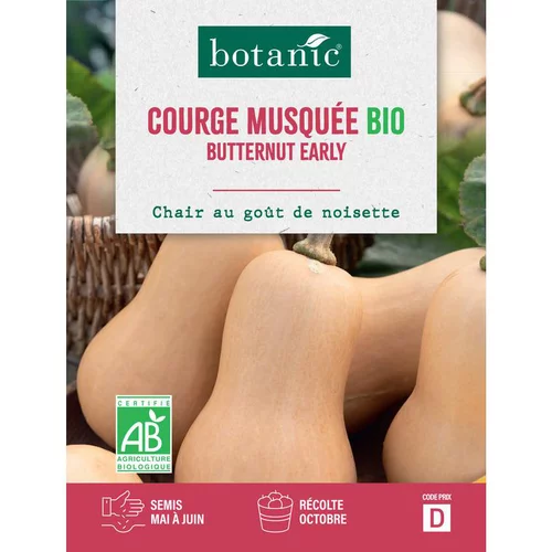 Une touche extérieure：Graines de courge musquée butternut early bio botanic® - graines à semer