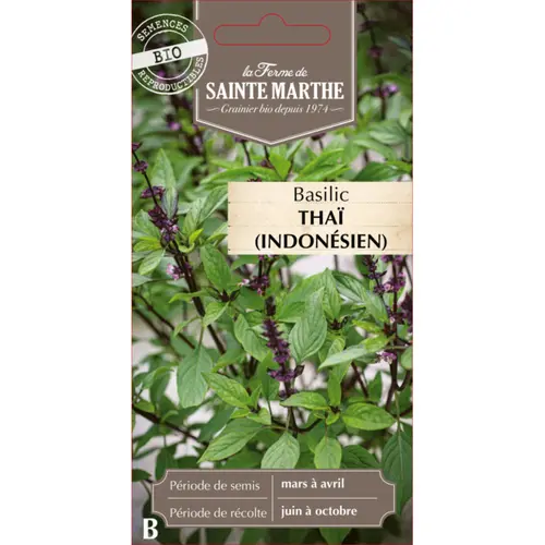 Extérieur facile:Graines de basilic thaï bio Ferme de Sainte Marthe - graines à semer