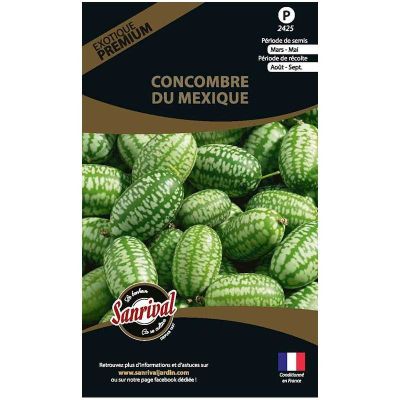 Graines potagères premium Concombre (Du Mexique)