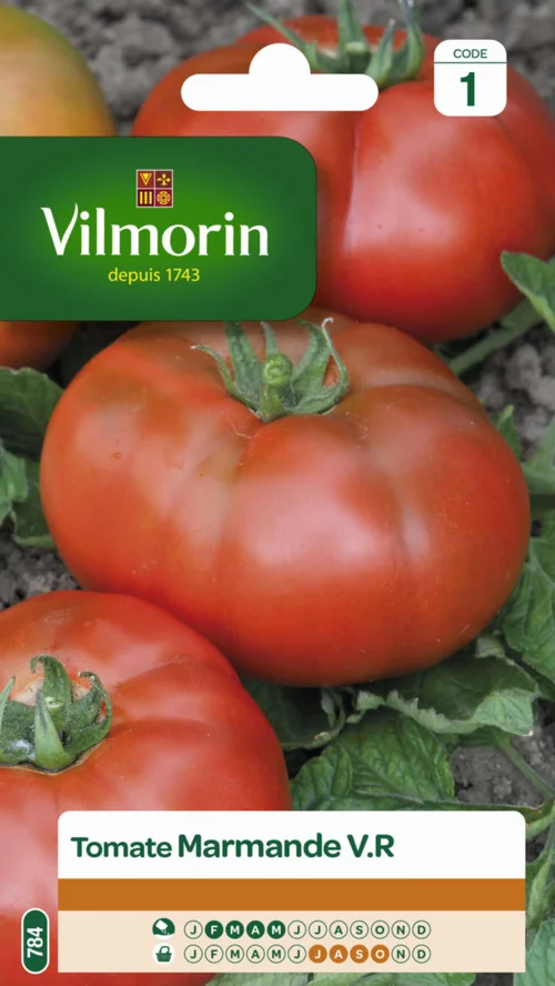 Facile jardin:Tomate Marmande VR Vilmorin - graines à semer