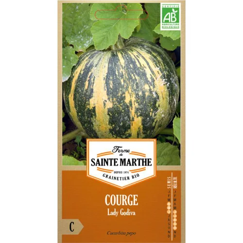 Pour embellir le jardin：Graines de Courge Lady Godiva bio Ferme de Sainte Marthe - graines à semer