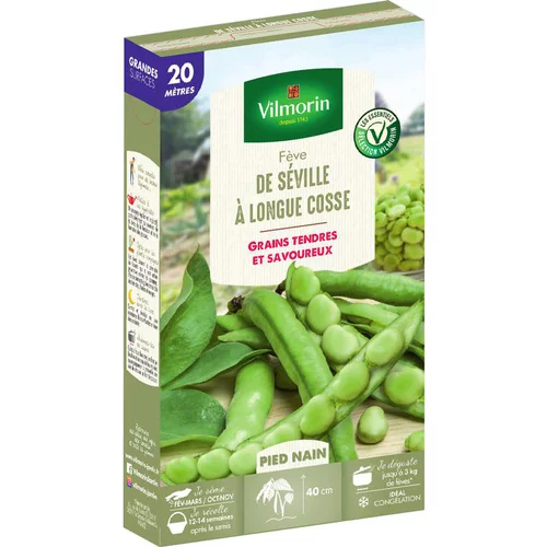 Pour valoriser votre jardin:Graines de fève de Séville Vilmorin - graines à semer